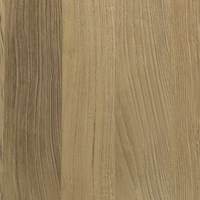 NATURAL ELM